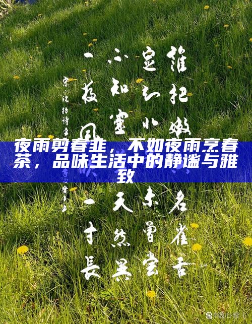 夜雨剪春韭，不如夜雨烹春茶，品味生活中的静谧与雅致